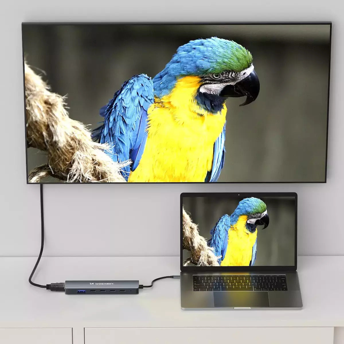 Wozinsky WHBC10Y4S USB-C Docking Station με HDMI 4K PD Γκρι